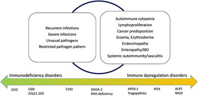 Beyond Infections: New Warning Signs for Inborn Errors of Immunity in Children